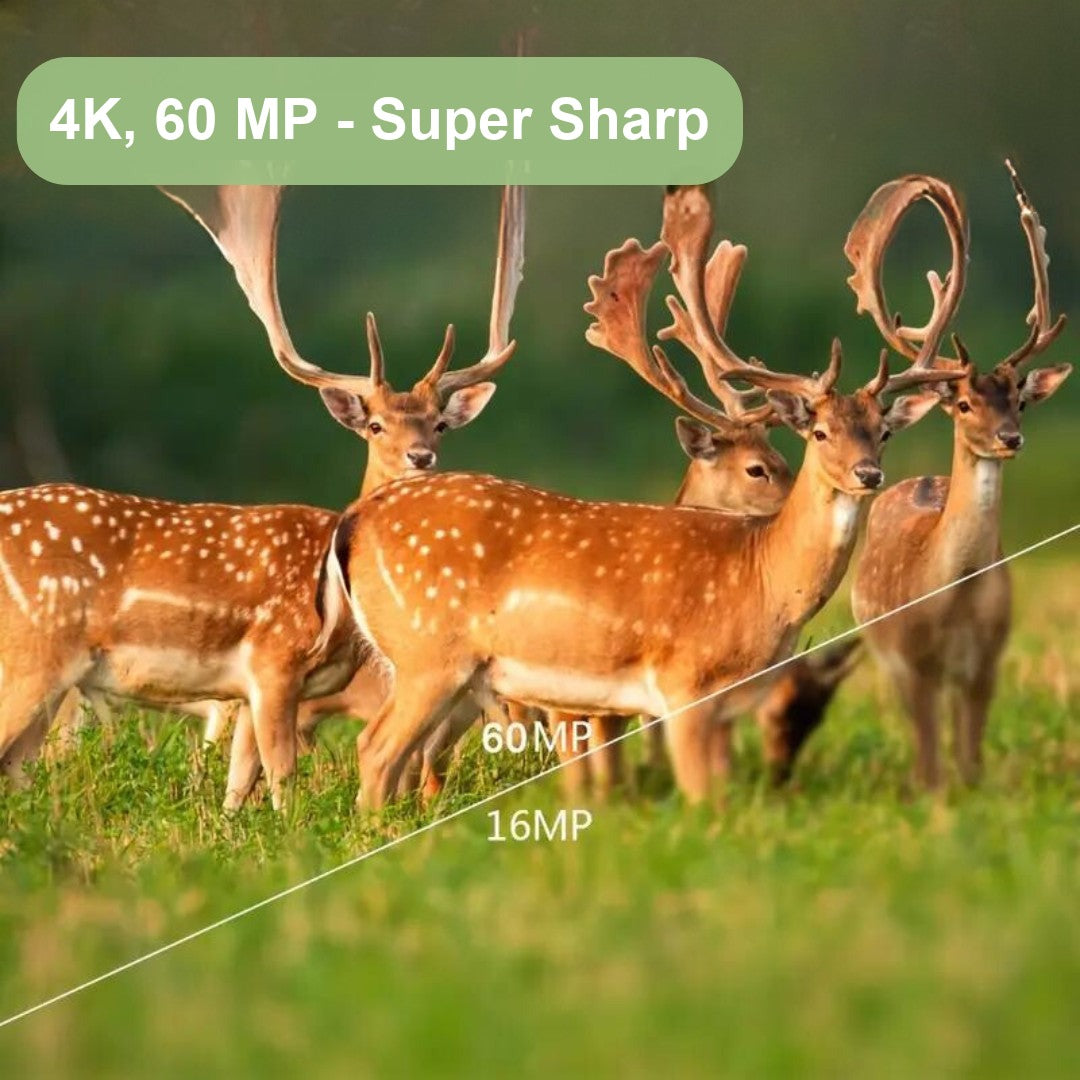 Trail Camera – 4K 60MP Wildlife Camera with Night Vision