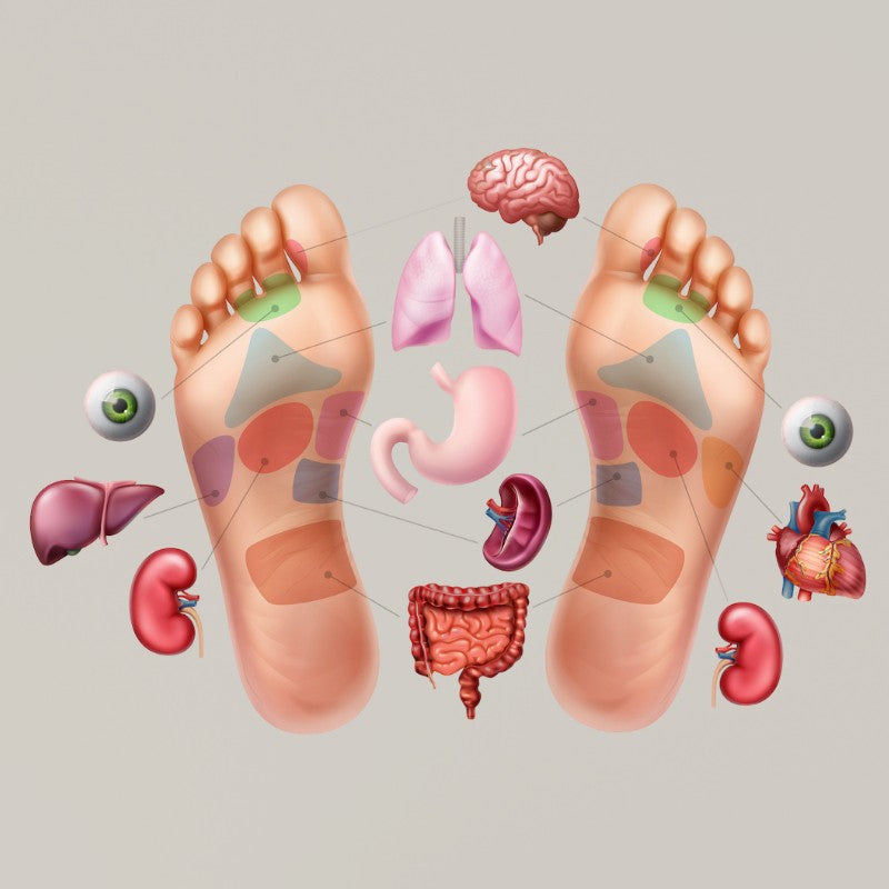 Acupressure Insoles – Magnetic Massaging Shoe Insoles