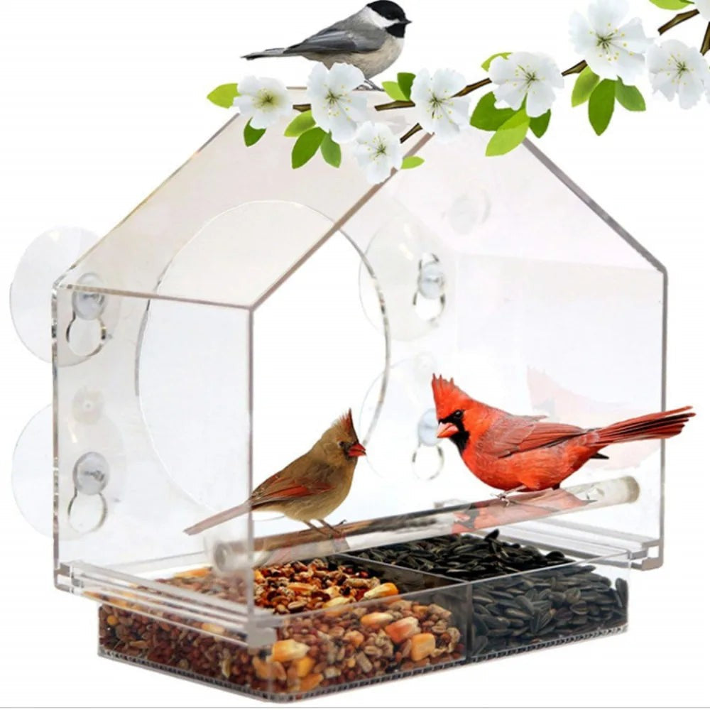 Window Bird House – Clear Suction-Cup Bird Feeder