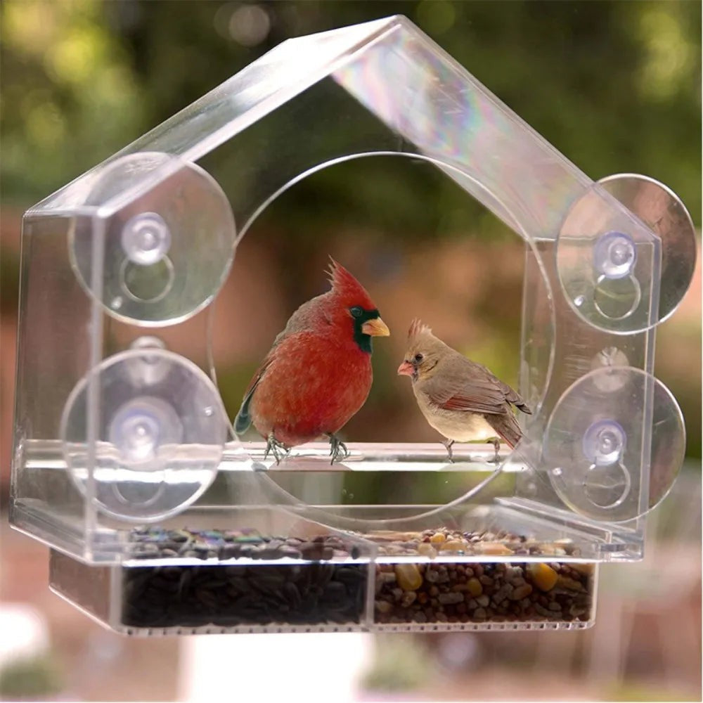 Window Bird House – Clear Suction-Cup Bird Feeder